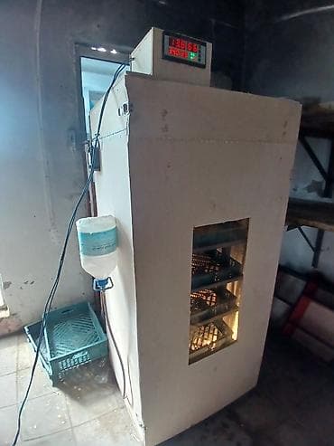 Kənd təssərüfatı avadanlığı: Yumurta inkubatoru – avtomatik idarəetməli, çoxsəviyyəli 520 yumruta — 1