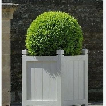 heyet ucun guller: Taxtalar ile ev, bağ, restoran, ofis, otel ve s. məkanlarınızın müasir — 3