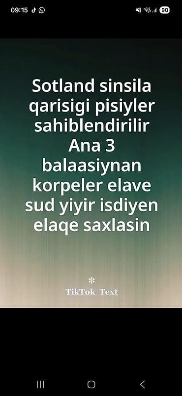 Şotland, Yaxşı əllərə