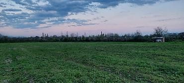 kiraye hovuzlu evler: 200 sot, Kənd təsərrüfatı — 4