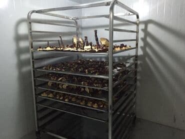 сушилка для фруктов купить в баку: Qurutma Aparatı Model DT600H Qızdırıcı aqreqat 6HP(380V) 3 faza — 7