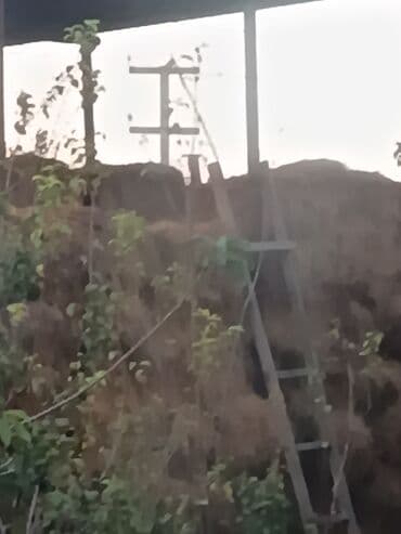 taxtalar: Ot pres — 1