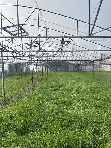 divar kagizlari dekor: İstixana konstruksiyası satılır - Metal karkaslı, genişhəcmli — 1