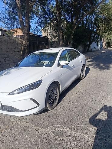 bmw şekli: Salam. masin 2025 ci il byd seal. 40 min yurus. qeti sekilde problemi — 4