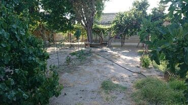 dübəndi torpaq: 10 sot, Tikinti, Makler, Kupça (Çıxarış) — 2