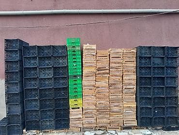 Konteynerlər: Məhsul: Plastik tərəvəz-meyvə yeşikləri və karton qutular Təsvir: - — 6