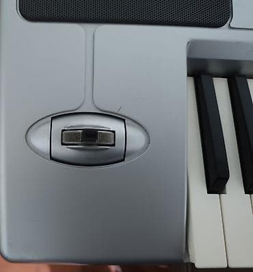 Ovçuluq və balıqçılıq: Sintezator, Korg, Yeni, Ünvandan götürmə — 5