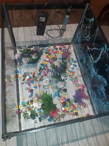 suda yaşayan heyvanlar: Dördbucaq akvarium, Boş, 20 l, Ünvandan götürmə — 1