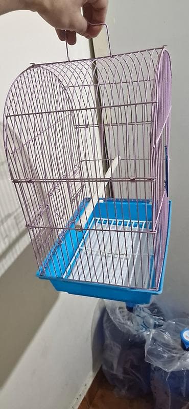 С/х животные и товары: Yeni almışıq. 15 manata.
10 manata satırıq — 4