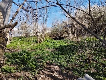 taxta satılır: Tikinti — 4