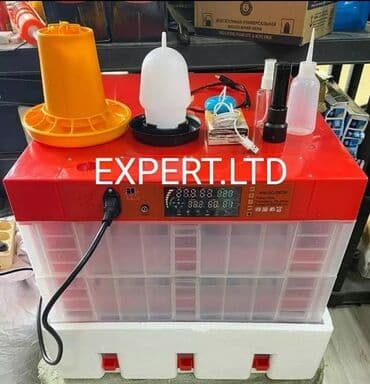 Avtoservis avadanlıqları: Çin, Fabrik istehsalı, Tam avtomat, Bütün növ quşlaq üçün — 3