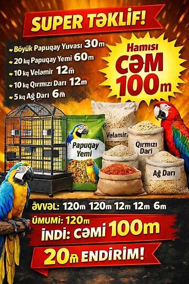 Papuqay və korella saxlayanlar üçün kampaniya təklifi • Böyük papuqay