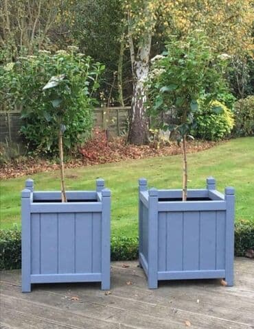 meyve agaci: Dibçək sexi. 📍Ünvan : Qala #Dibçək #Dibçək #Güldan #Güldan #Agac — 3