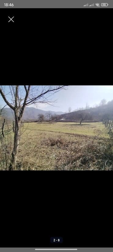 kirayə evlər gəncə 2023: Kənd təsərrüfatı, Kupça (Çıxarış) — 7