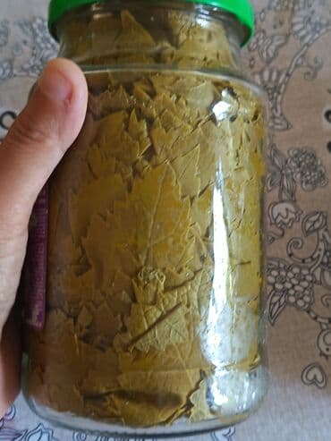 inmotion s1 qiymeti: Diqqət Nəzərinizə öz bağımızın məhsuludur nəm nazik agizda hiss — 2