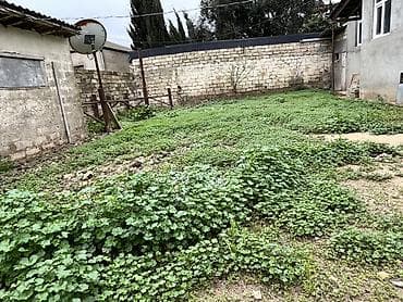 torpaqlar: 10 sot, Tikinti, Mülkiyyətçi, Kupça (Çıxarış) — 2