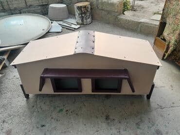 menks cinsi pişik: 2 местных для кошек . с заказом тоже готовлу. водоустойцмй — 5