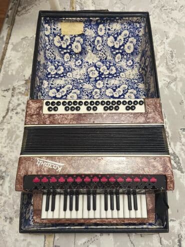 uşaq akkordeonu: Akustik Akkordeon, İşlənmiş, Ünvandan götürmə, Pulsuz çatdırılma, Ödənişli çatdırılma — 6