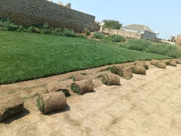 Digər tikinti xidmətləri: Ummi abadliq xidmeti torpaq lazmdisa torpaq getrib yaymaq duždeşdirib — 4