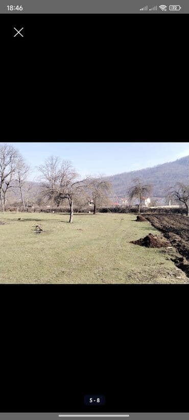 kirayə evlər gəncə 2023: Kənd təsərrüfatı, Kupça (Çıxarış) — 5