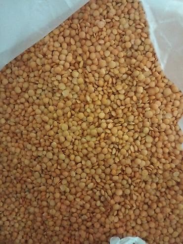 Mərci 1.40₼ 
30 35 kq var əldə