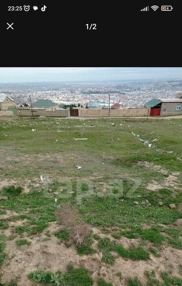 10 sot, Tikinti, Kupça (Çıxarış)