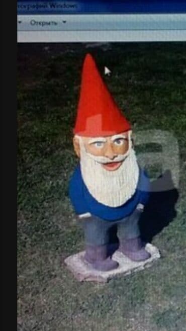 qızıl balıq qiymeti: Fiqur — 1