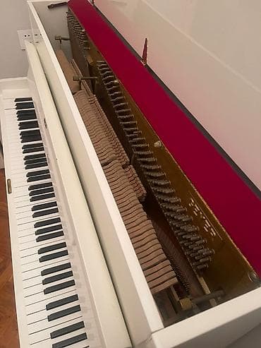 İncəsənət və kolleksiyalar: Almaniya istehsali, Piano Tarqovuda yerlesir. Real aliciya endirim — 1