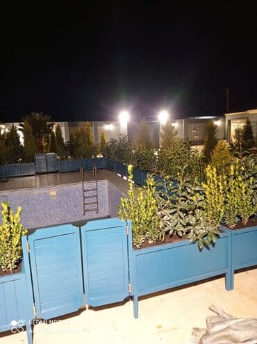 otaq bitkisi: Dibçək güldanlar. Dipçəklər bir başa sexdən.Sex qiymətinə. ♦️Endrim — 8