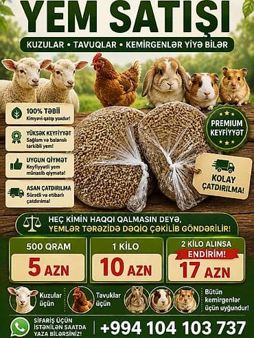 cepis sekilleri: 🐰 Hazırda məndə bu çox şirin dovşanım var 🥹🤍 Çox şirin və özəl — 7