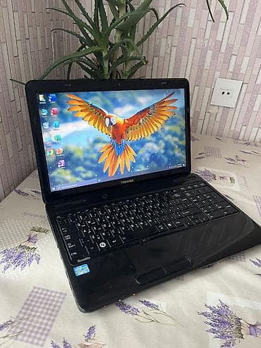 toshiba notebook qiymətləri: Toshiba, 15.6 ", Intel Core i5, 512 GB — 2