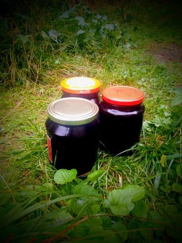 Ət və dəniz məhsulları: Ağ tutun əsl bəhməzi 🌳 Qatqısız təbii bəhməzdir. Bankalarda tutumu bir — 1