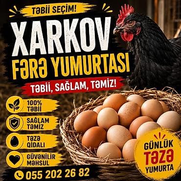 toyuq qiyməti: Xarkov fərə yumurtası – təbii seçim! - 100% təbii mənbədən - Sağlam — 1