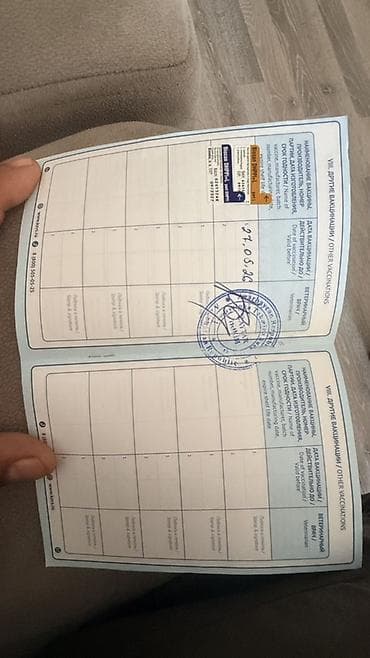 cins heyvanlar: Pudel, 4 ay, Dişi, Sənədli, Pulsuz çatdırılma — 4