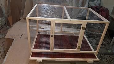 Gəmiricilər: Teze yixilma boyuk olculu qefesler.alti padnoslu ve yerden — 3