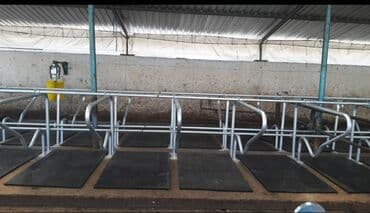 сухие корма для собак: Heyvan yatak 
Heyvan doşeyi 
Türkiyə istehsalı — 2