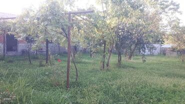 купить квартиру в баку новостройка: Продается дом в Кахи, в селе Кахингило.Площадь дома 180 кв.м., 5 — 5