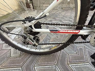 velosiped kameri: Salcano Excel 24 dağ velosipedi - Çərçivə: Salcano Excel 24, yüngül — 5
