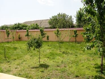qebelede ayliq kiraye evler: 150 м², 4 комнаты, Интернет, Комби, Телефон — 20