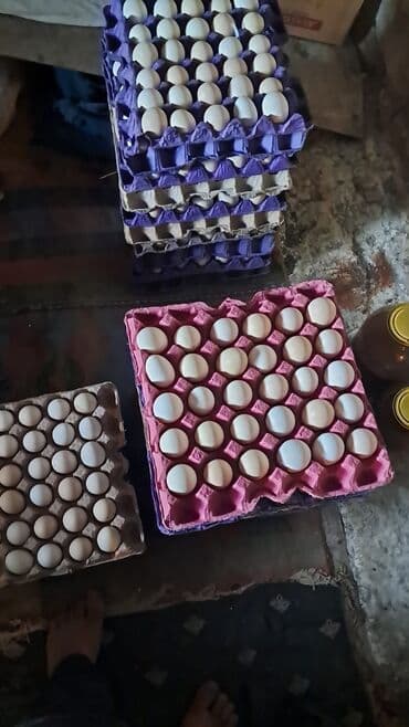 Sifarişlə hazır yeməklər: Serebris və yerli toyuqlar yumurtası satılır 95% mayalı Səlyan rayonu — 1