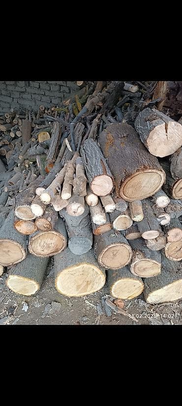 Boçkalar və çəlləklər: Hazır doğranmış qarışıq odun satılır. Qiymət razılaşma yolu ilə. Ciddi — 2