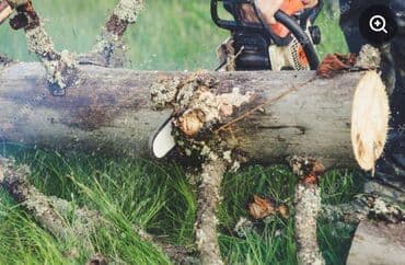 su quyusunun qazilmasi: Ağac kesmek budamaq işləri görülür.🪚 Kotukleri səliqəli dogramaq qol — 4