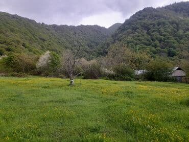 sabuncu rayonu sabuncu qesebesinde satilan evler: Qəbələ rayon Bum qəsəbəsində ve qəmərvan kəndində torpaq,ev satişi,ve — 3
