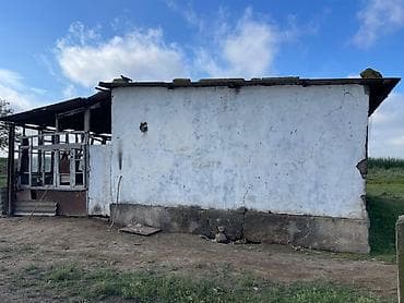 Tecili satilir ferma imisli rayonunda 115 h torpagi var daima kanal — 3