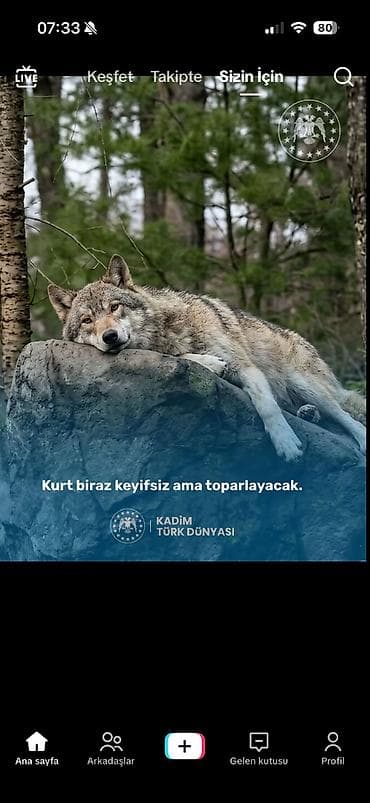 afsiant isleri: Ofisiant tələb olunur — 1