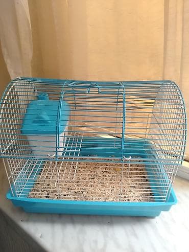 Kiçik heyvan qəfəsi – hamster, siçan və ya digər gəmiricilər üçün. -
