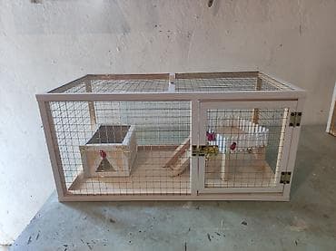 Dovşan,hamster,şinşila,bildirçin,cücə,xamyak,pişik,quş ve s kimi ev