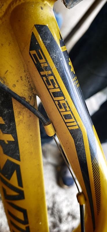 velosiped alman: Real aliciya gözəl endirim olacaq,tekce problem superi islemir — 10