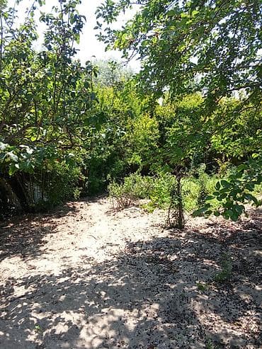 obyektler satisi: 6 sot, Tikinti, Maklerlər narahat etməsin, Kupça (Çıxarış) — 6