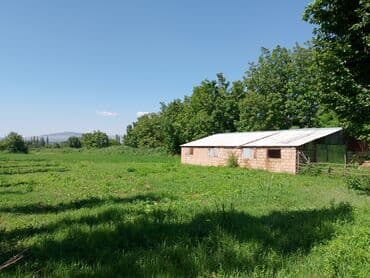 mərdəkanda torpaq: 82 sot Kənd təsərrüfatı, İşıq, Su — 3